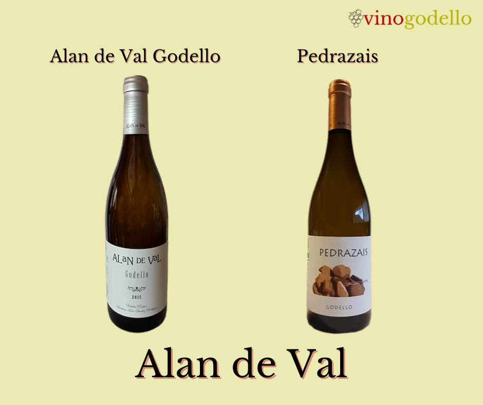 bodegas alan de val godello