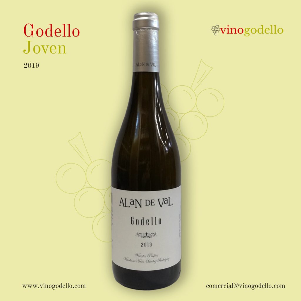 alan de val godello joven