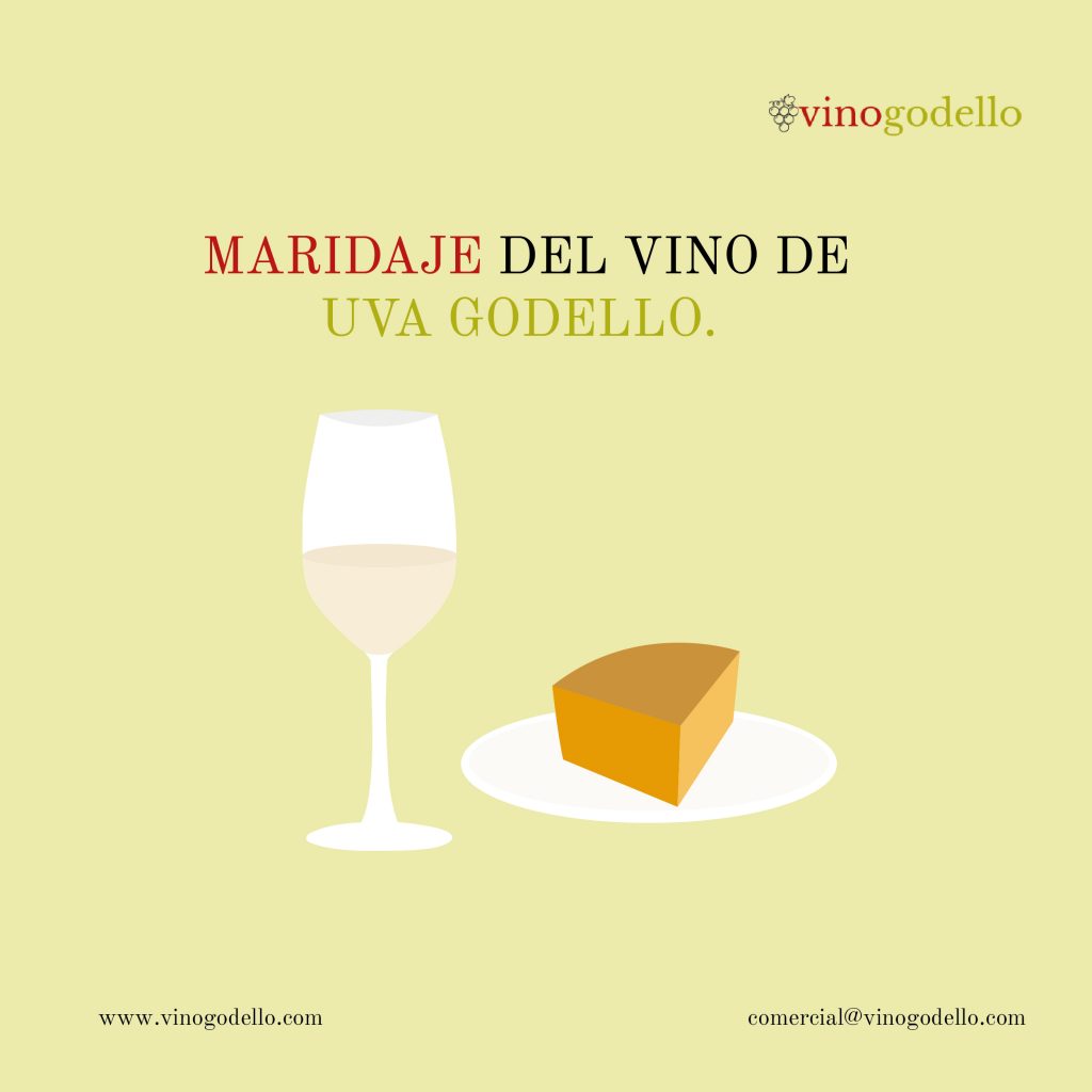 maridaje vino blanco uva godello vinogodello